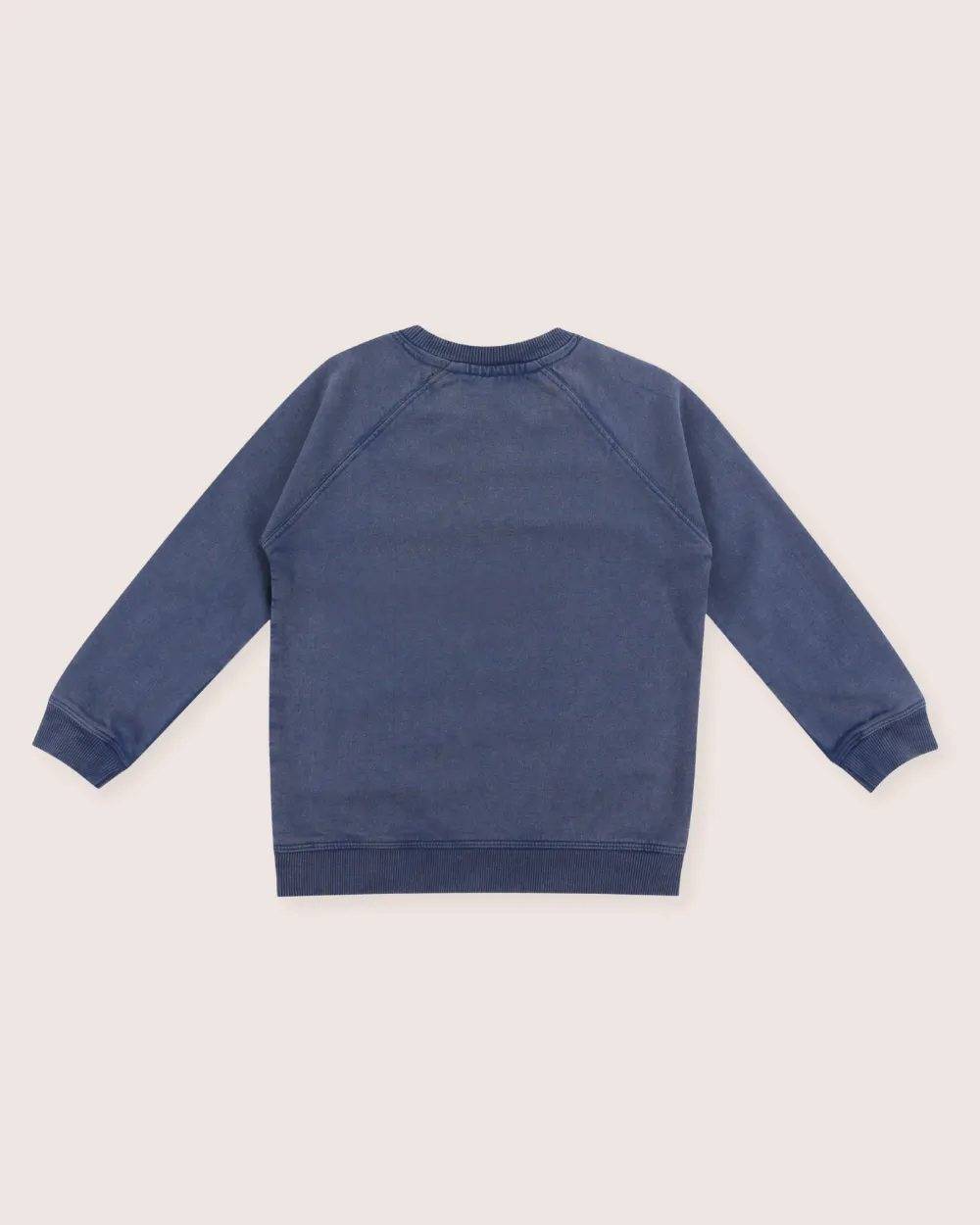 Blue Wild Slogan Print Sweatshirt