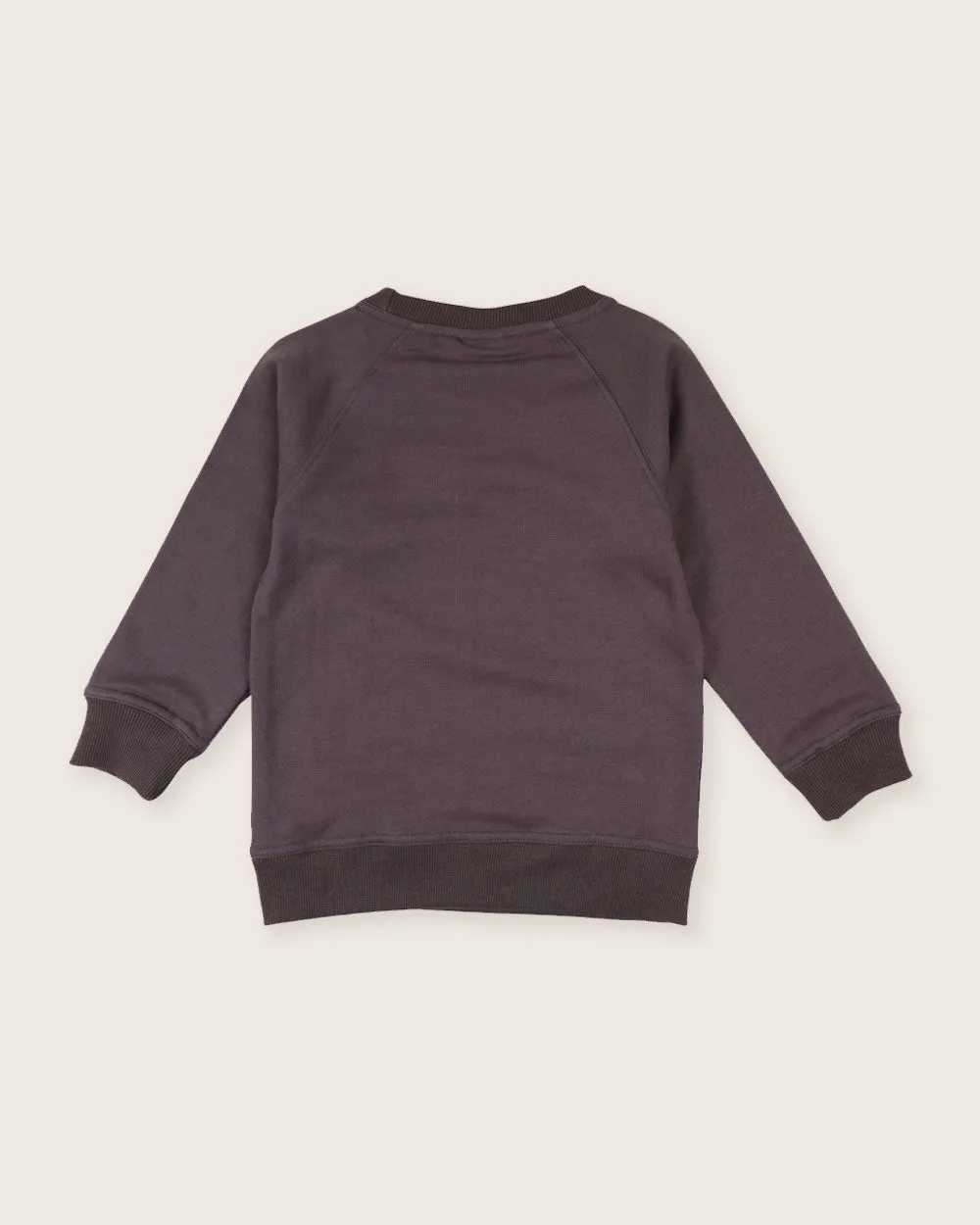 Charcoal Grey Leopard Ears Applique Sweatshirt