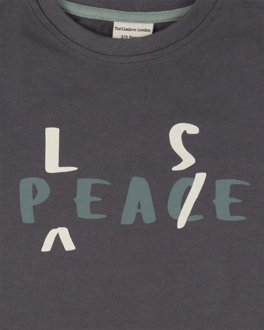 Charcoal Grey Peace Please Slogan Print T-Shirt
