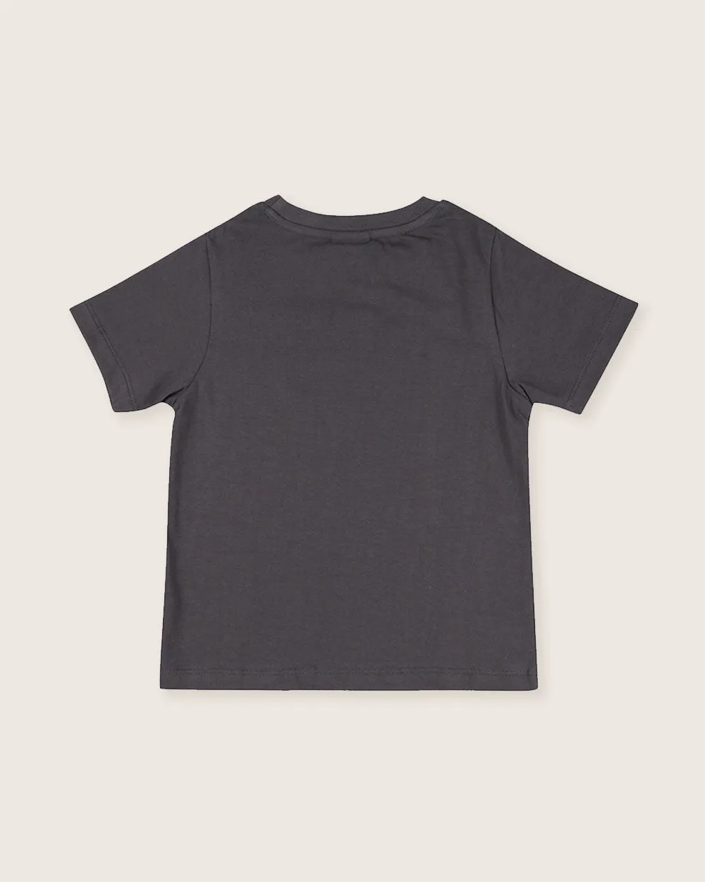 Charcoal Grey Peace Please Slogan Print T-Shirt