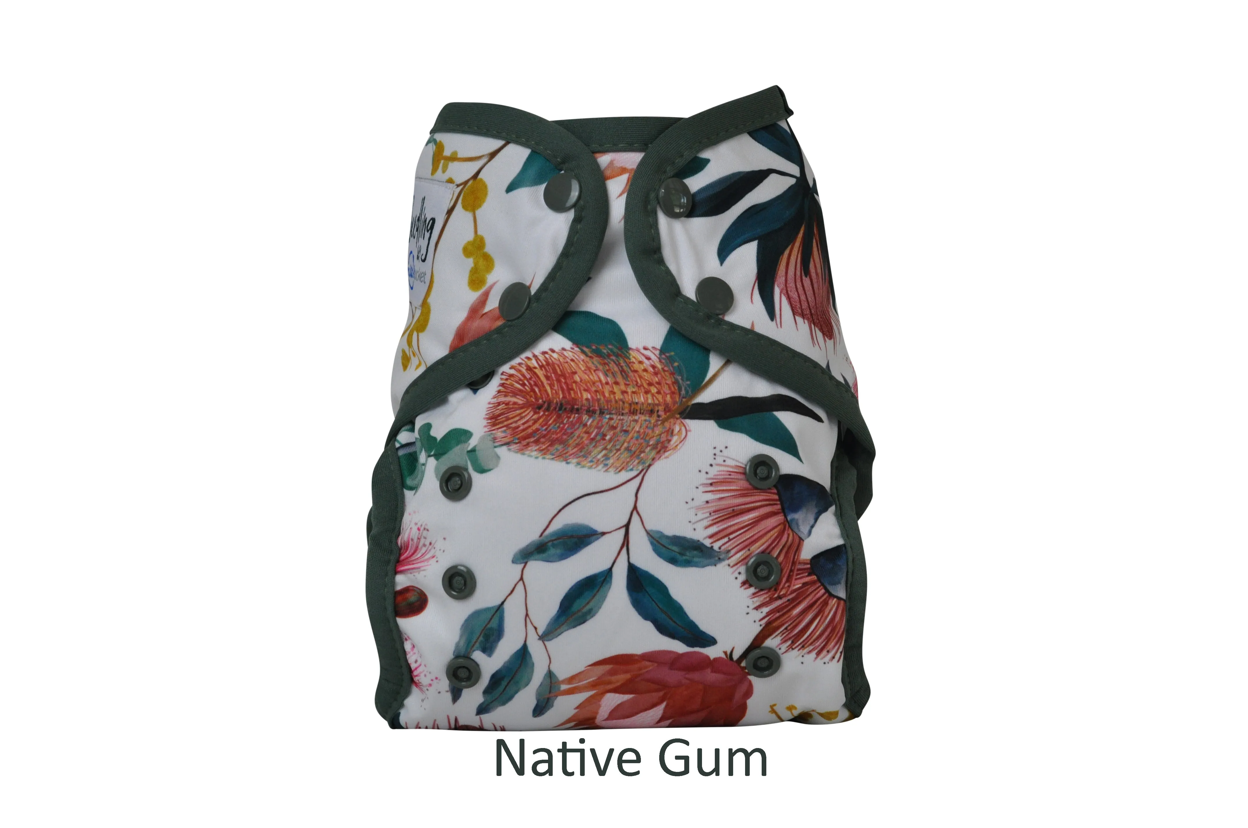 Paddle Pants by Seedling Baby