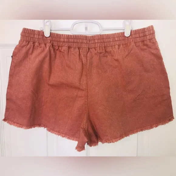Volcom shorts (L)