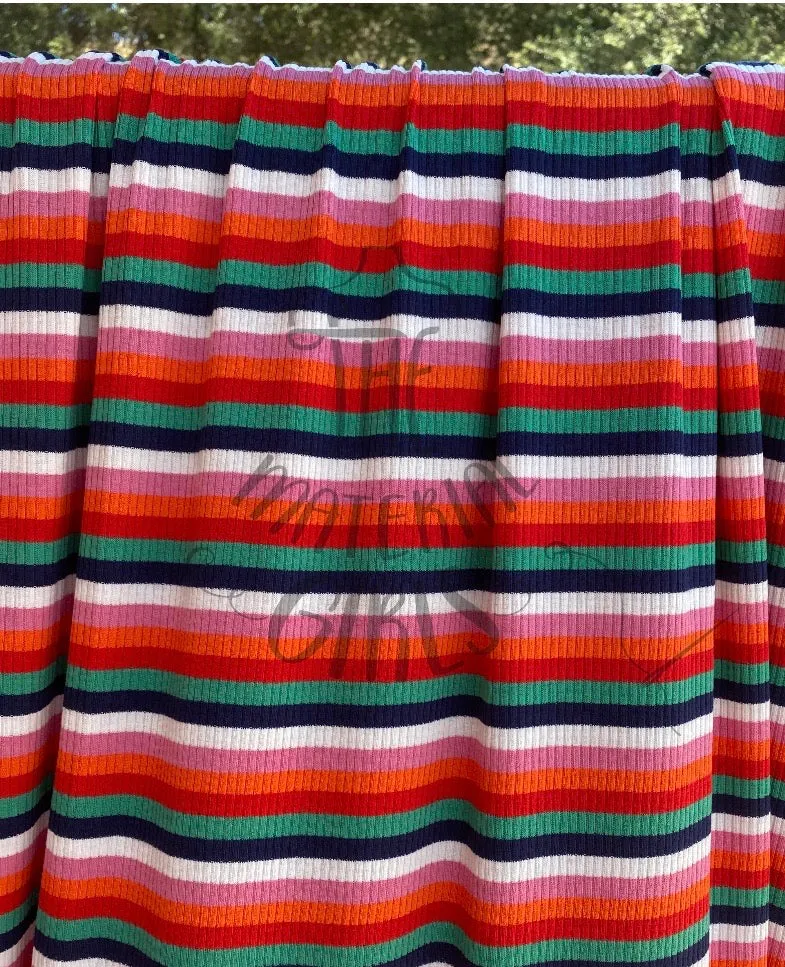 Zinnia Multicolor Stripe Ribbed Knit